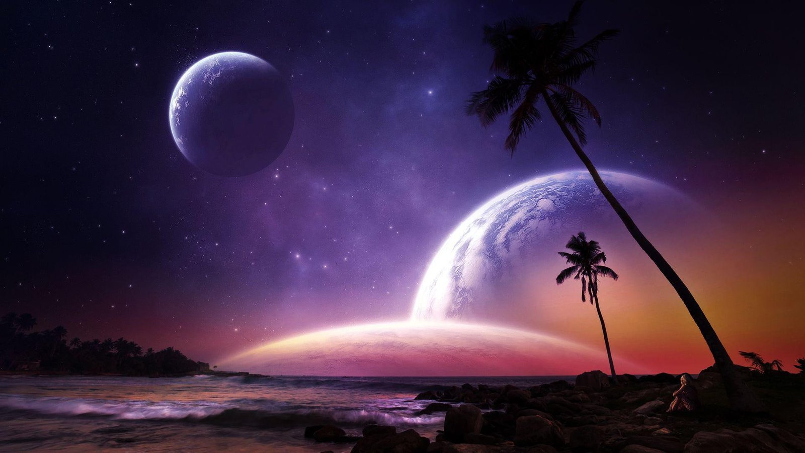 Planets on the night sky above beach silhouette photo of tropical tree 2k