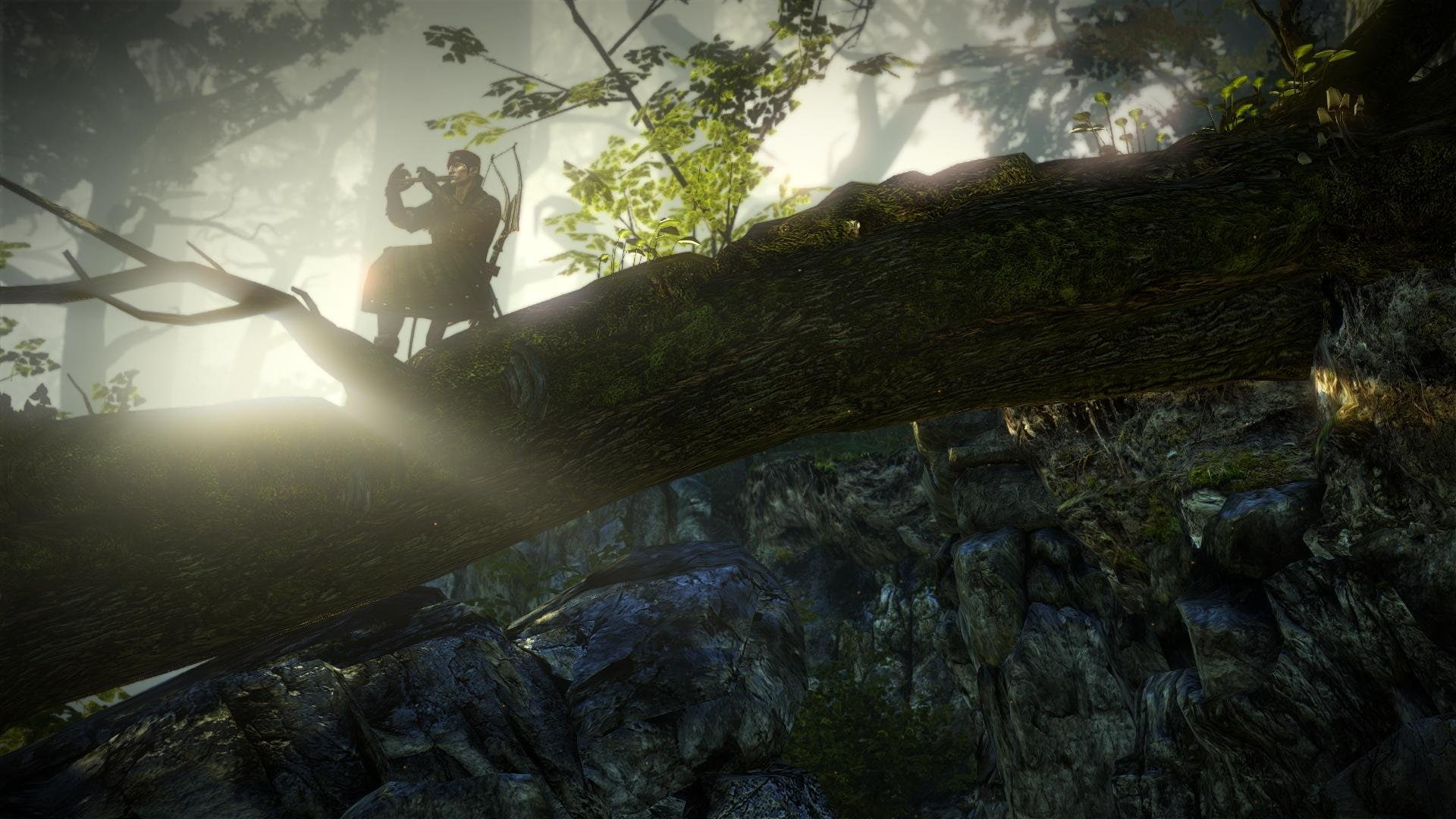 assassins flute iorweth kings sun the tree witcher 2k