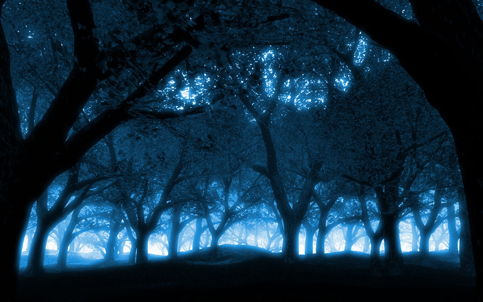 black blue forest Nature Forests HD Art dark sky 2k