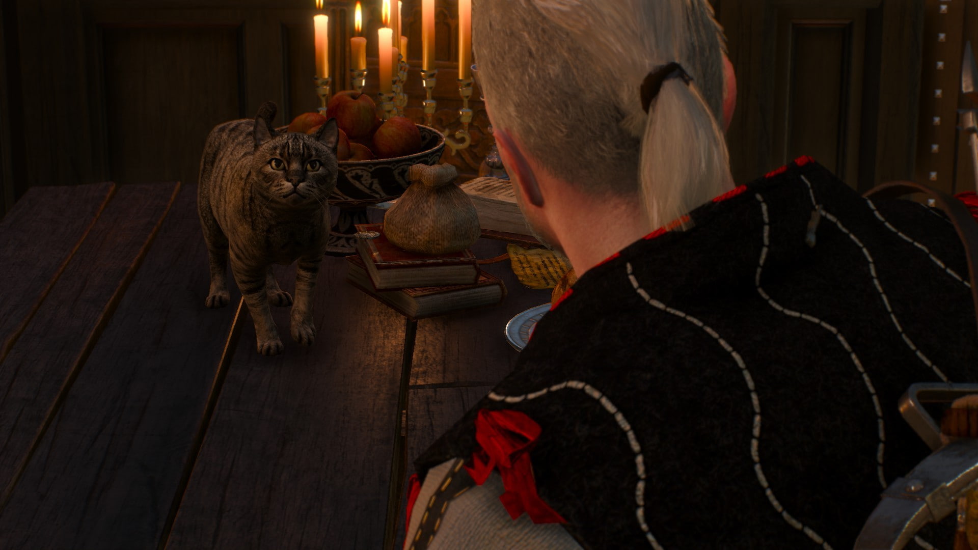 The Witcher 3 Wild Hunt domestic animals mammal pets indoors 2k