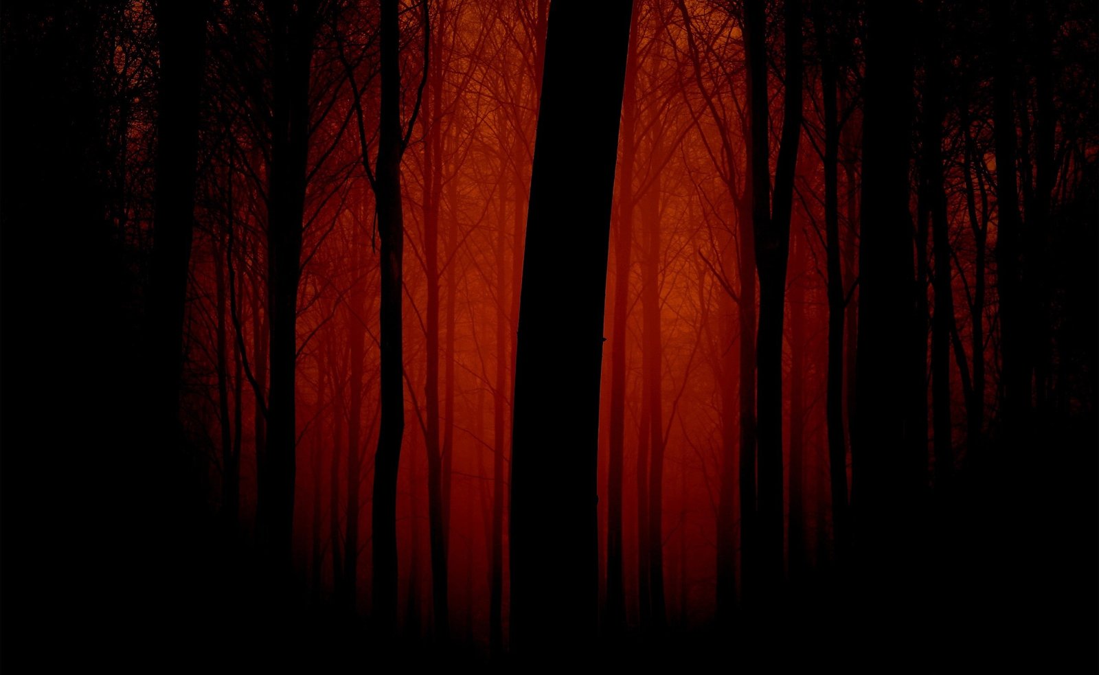 Bloody Forest bare trees digital wallpaper Nature Forests 2k