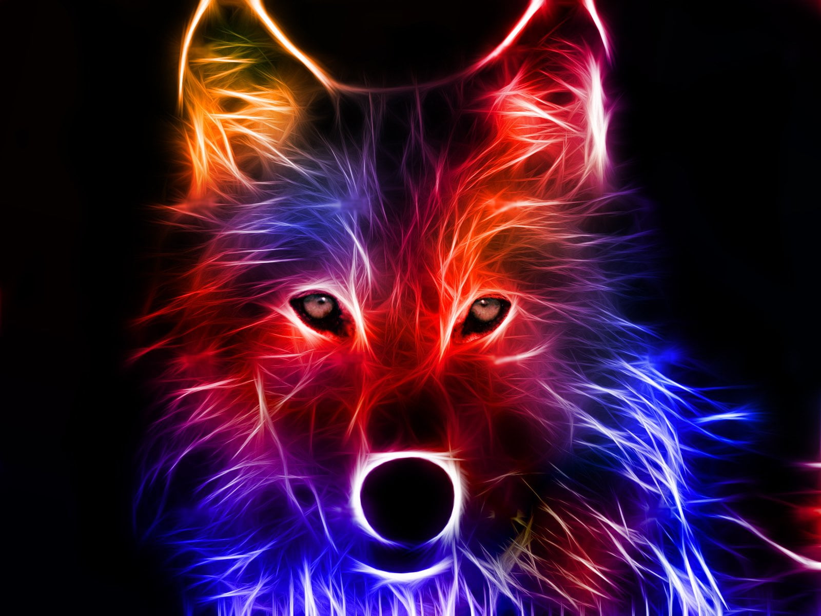 yellow red and blue wolf graphic Animal Abstract Colorful 2k