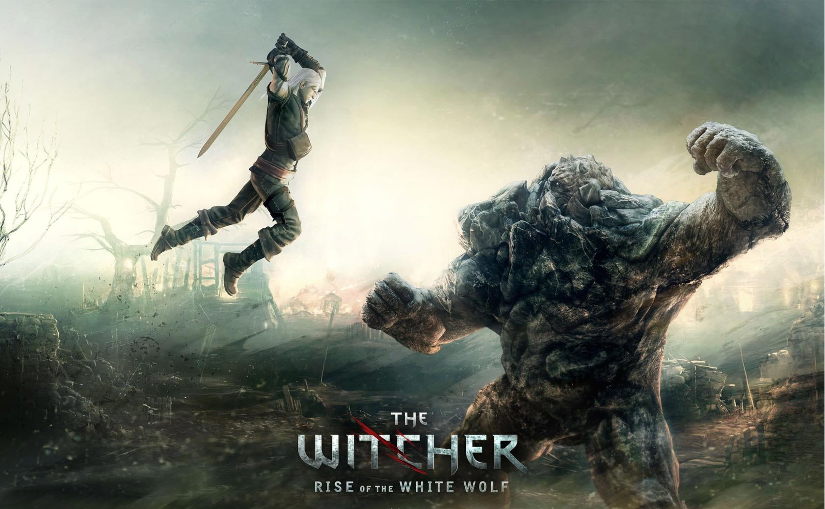 Witcher 2 Game The Rise of the White Wolf wallpaper 2k