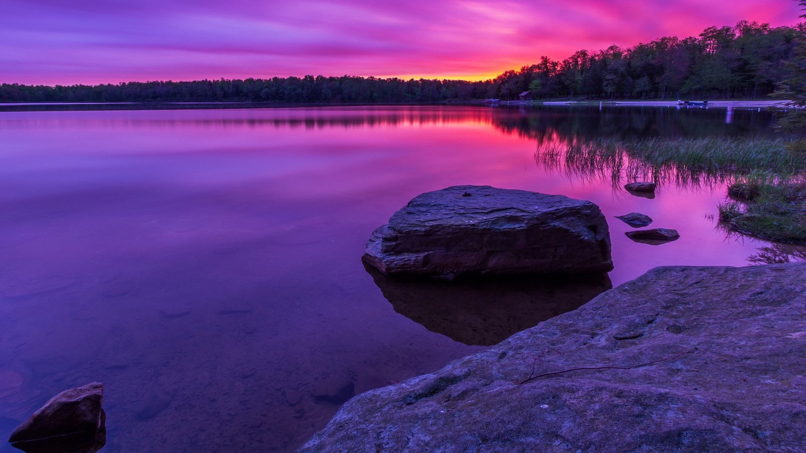 download nature for pc 2k