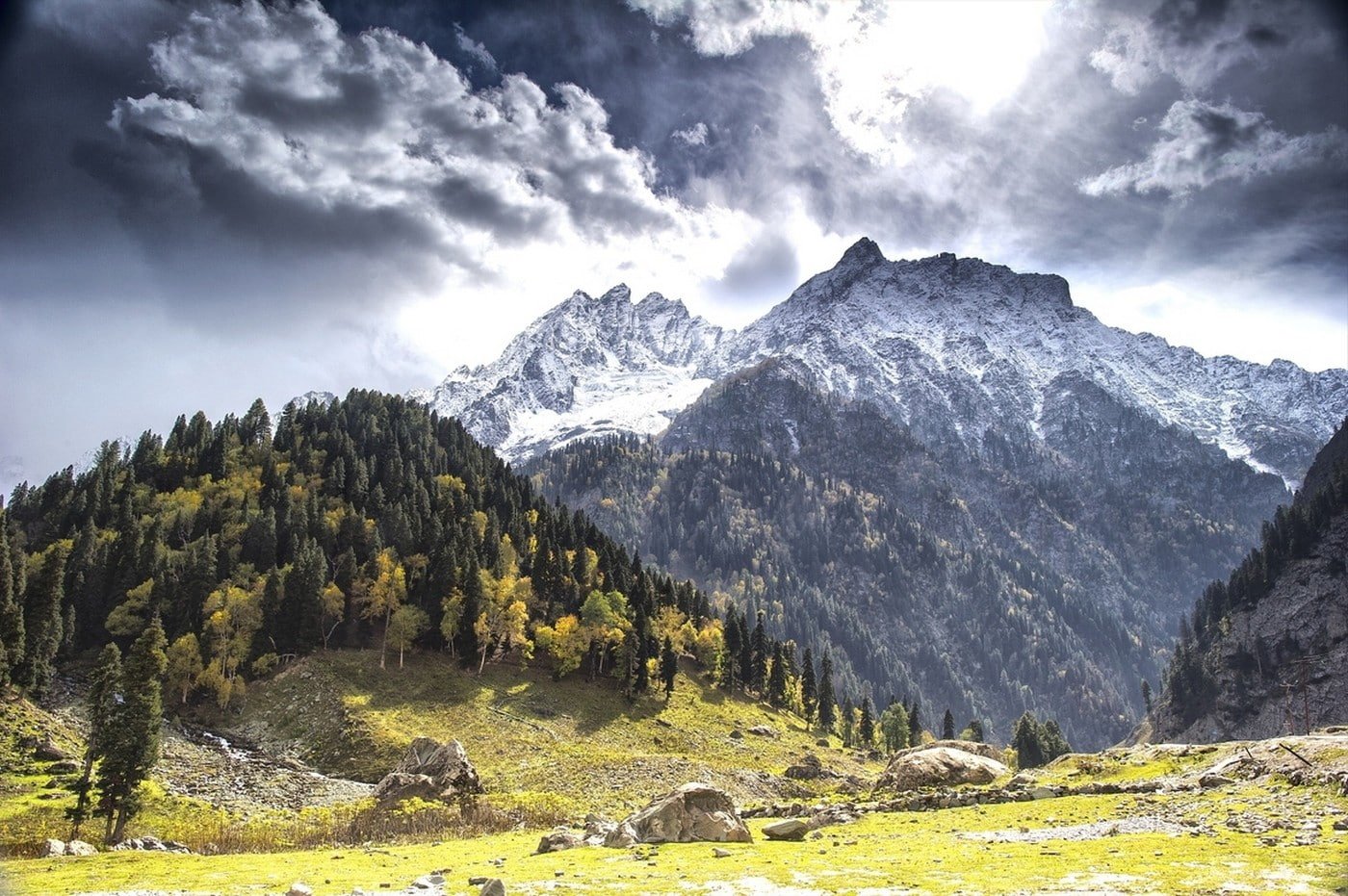 fall mountains forest clouds snowy peak trees Kashmir