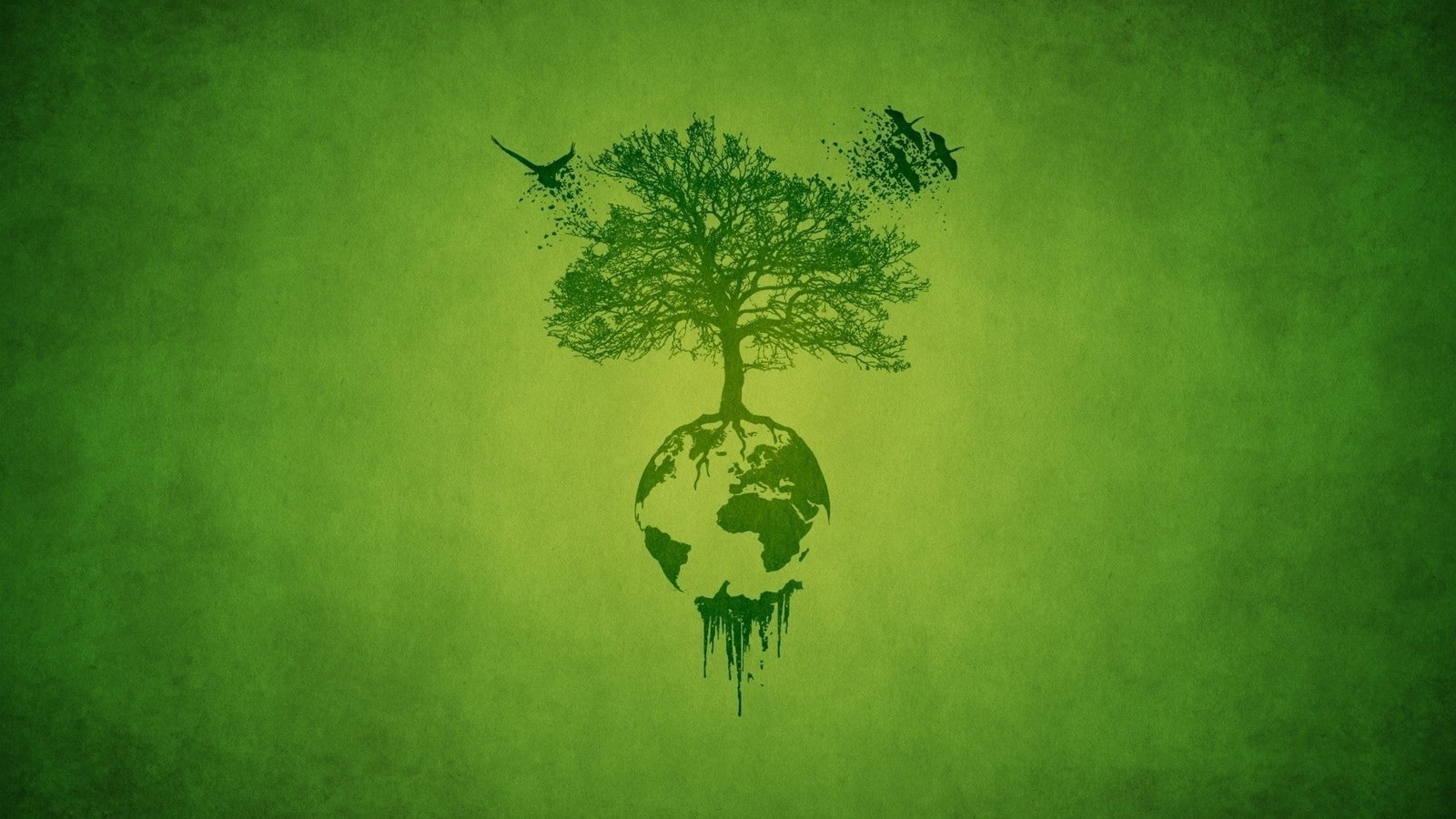 green abstract nature trees world birds earth simple background Animals Birds HD Art 2k