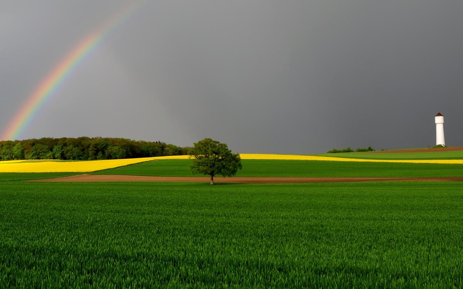 Green Fields and Rainbow nature landscape scenery 2k