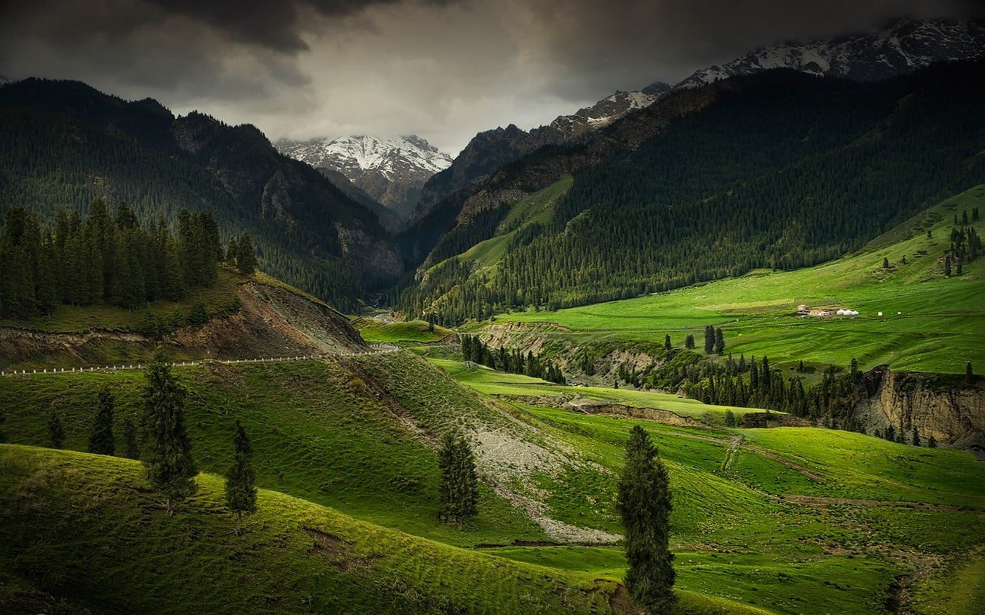 green grass field mountains valley nature landscape forest