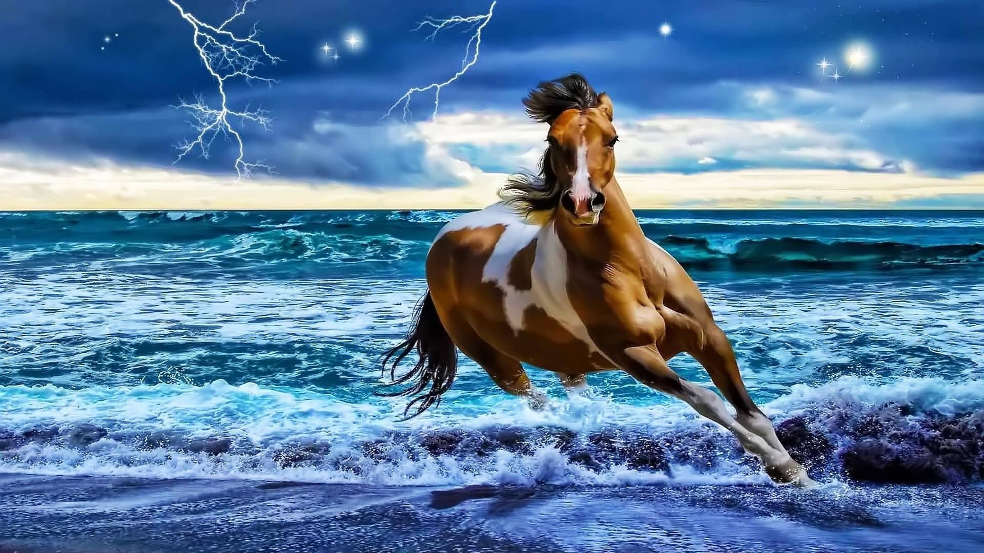 horse running beach 2k