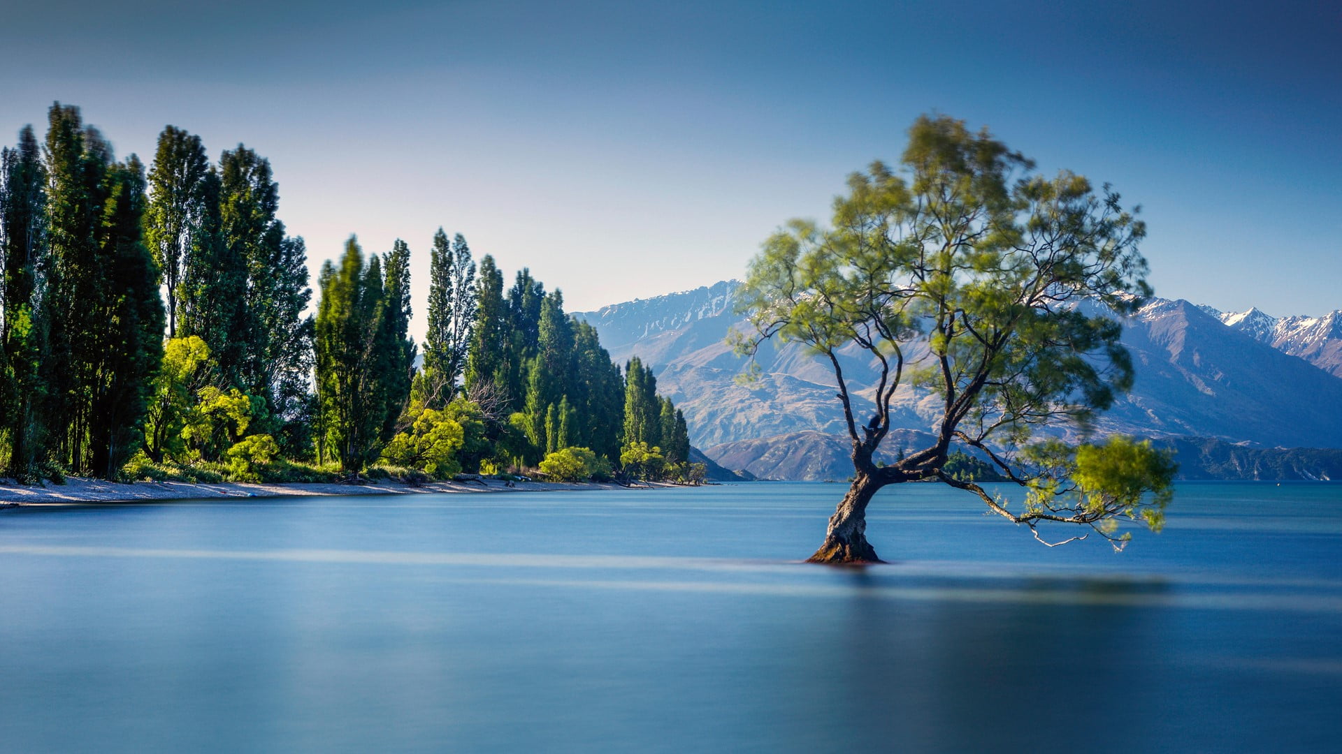 nature landscape lake trees water mountains sky Lake Wanaka 2k