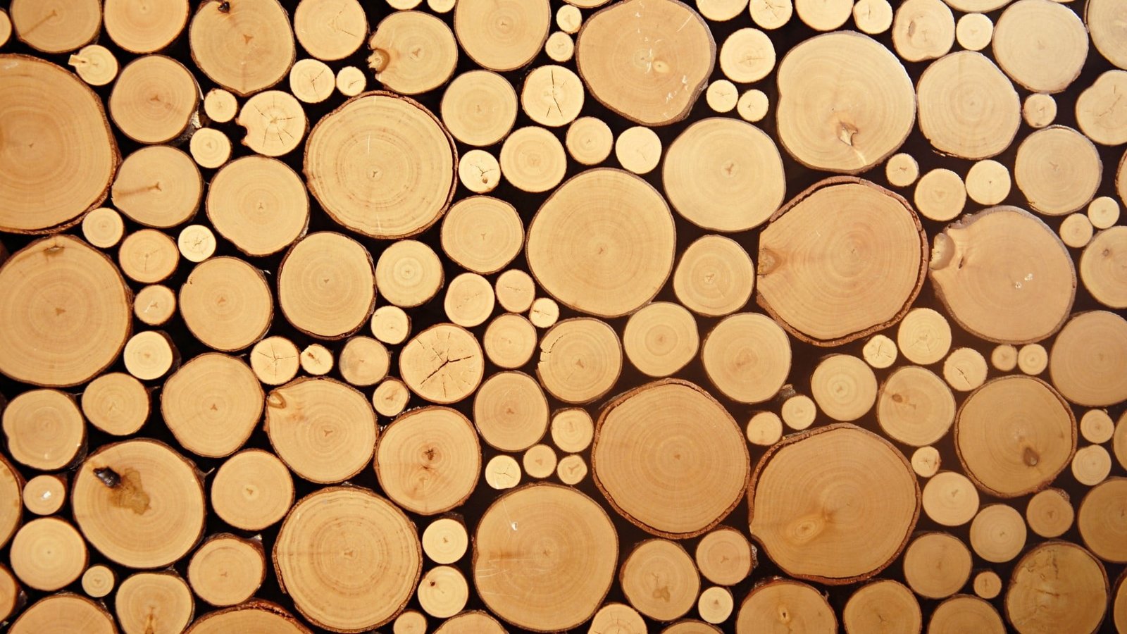 pile of woods wallpaper nature texture circle photography 2k