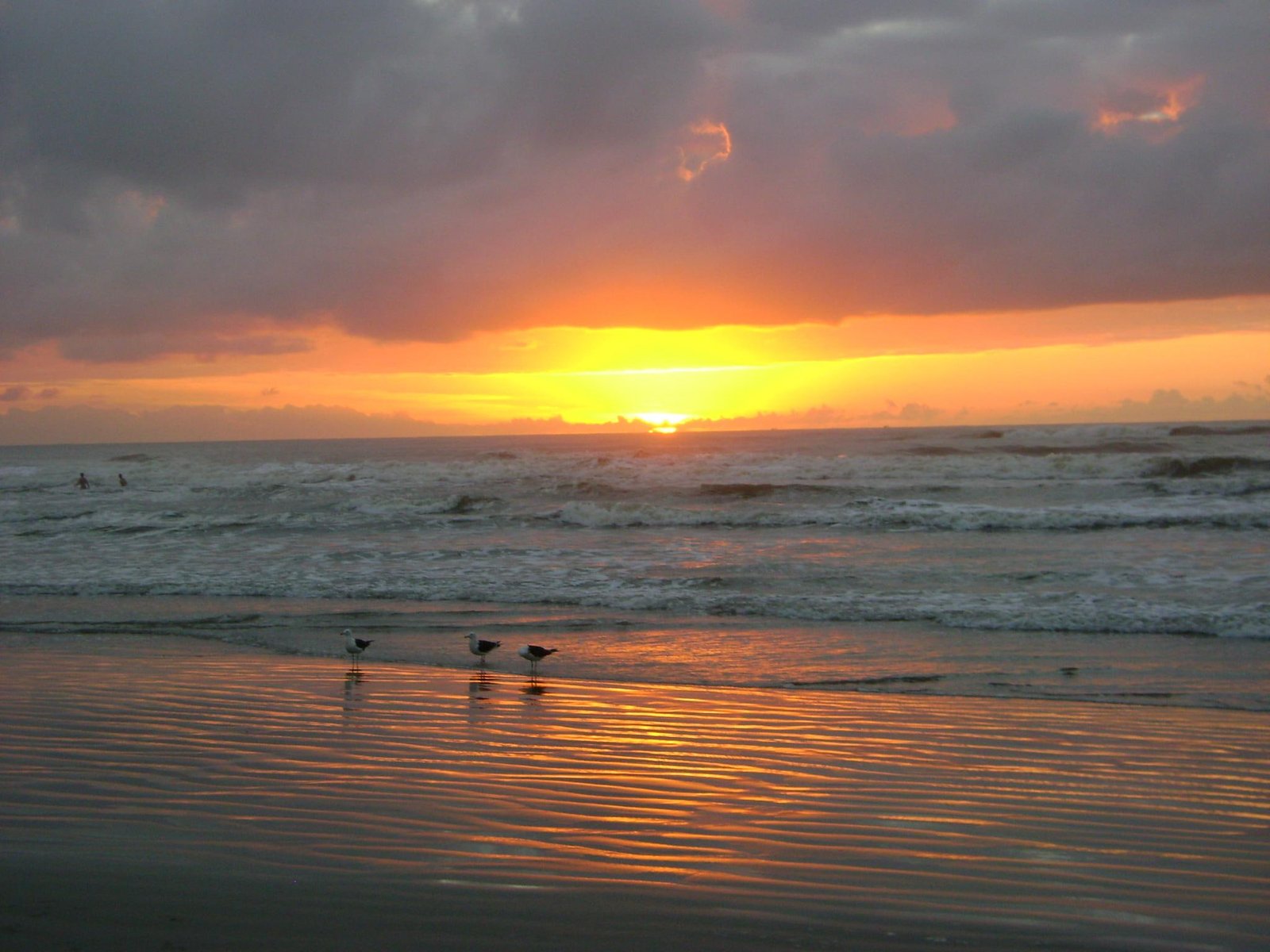 Praia Brasil beach brazil morning and abstract 2k