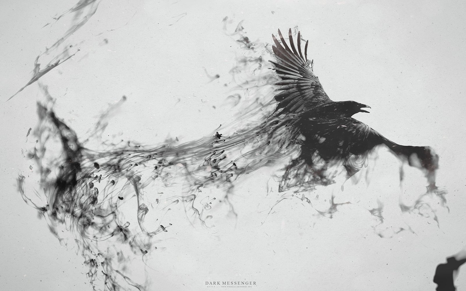 raven digital wallpaper eagle painting crow ink animals birds 2k