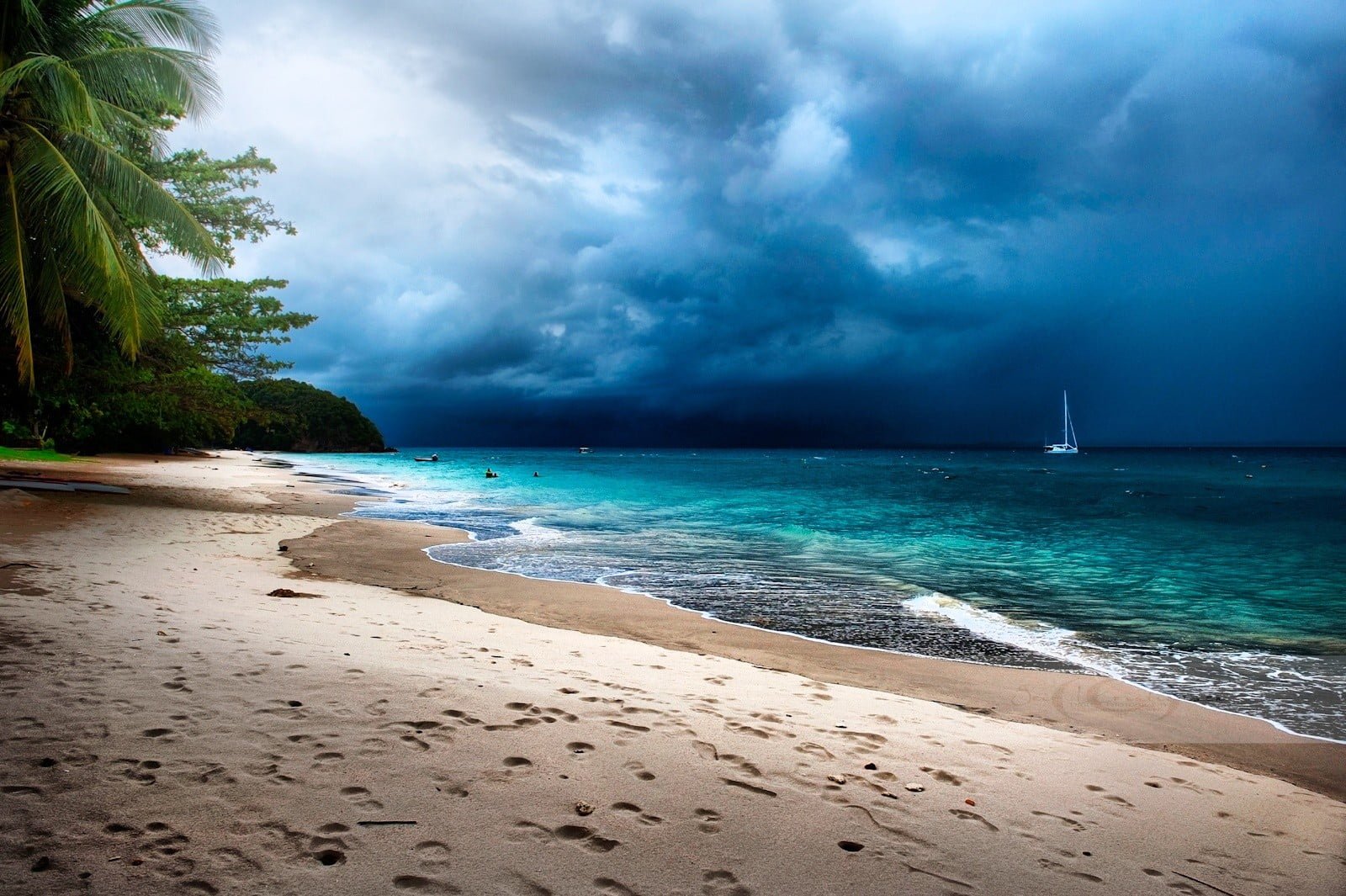seashore and palm trees tropical beach sand storm island 2k