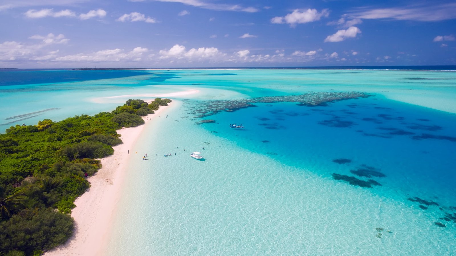 seashore at daytime maldives tropics tropical drone aerial 2k