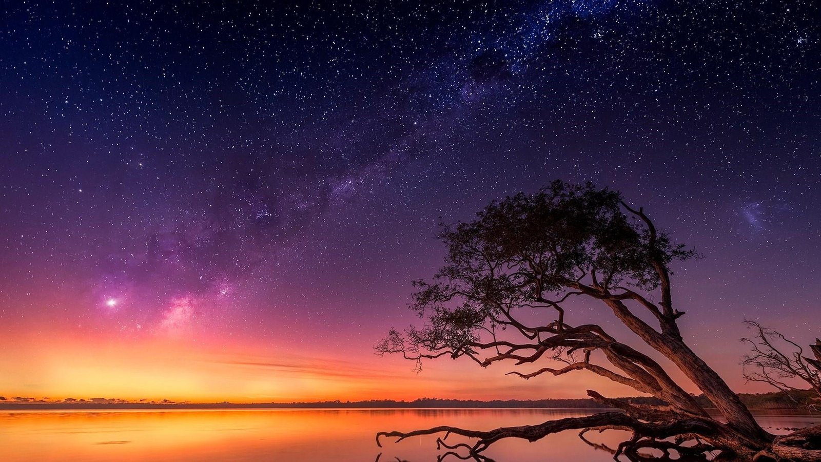 sky nature atmosphere tree starry horizon dawn phenomenon 2k