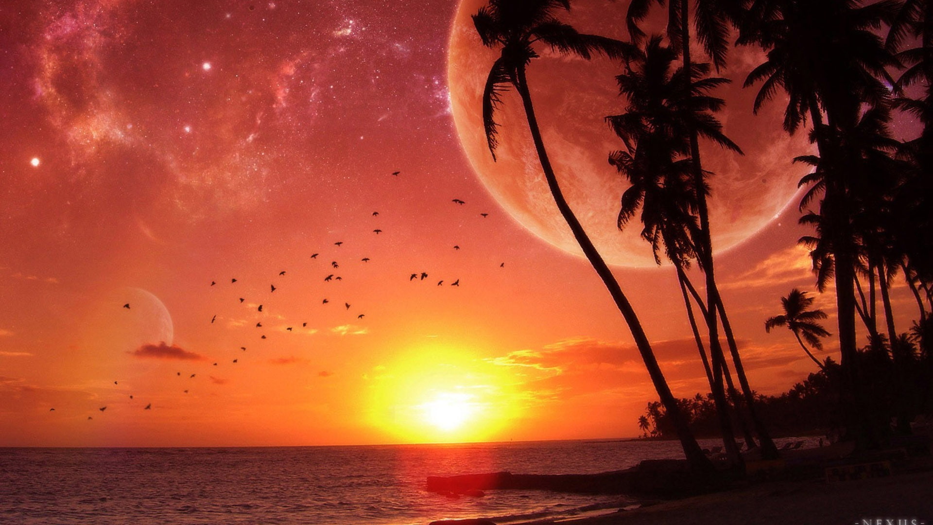 sunset ocean beach moon palm trees Nature Oceans HD Art 2k