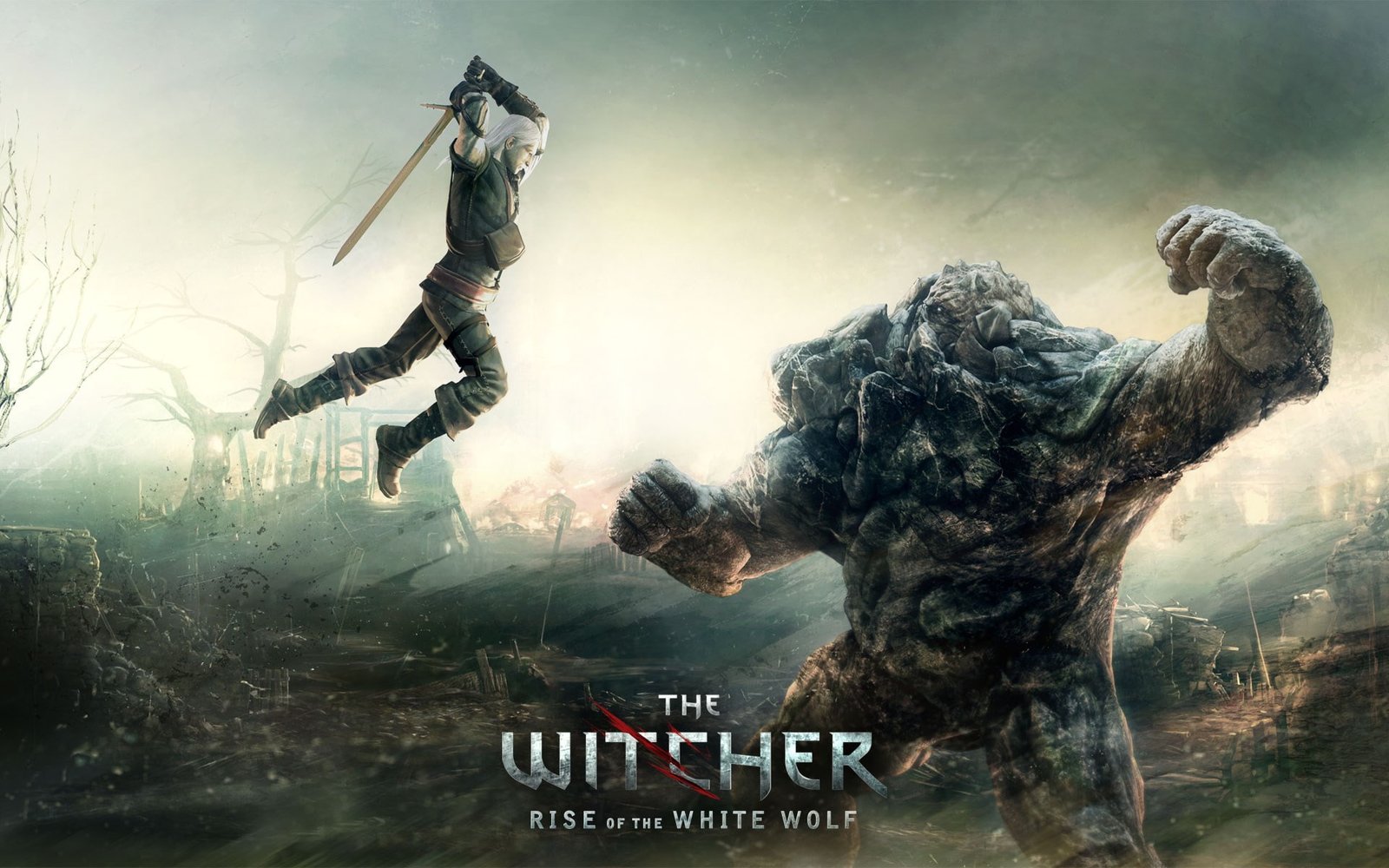 The Witcher Rise of the White Wolf 2k