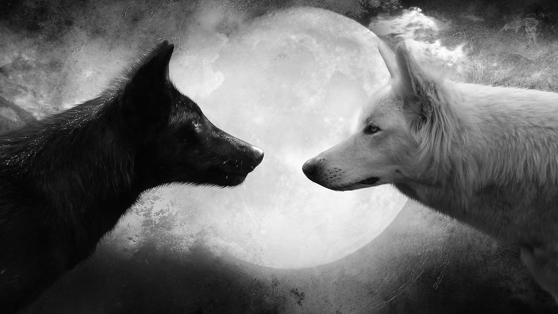 white and black wolf digital wallpaper Moon monochrome artwork 2k