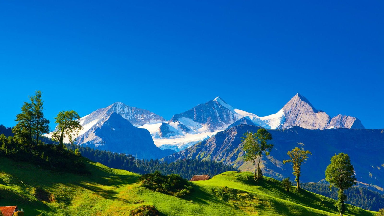 Windows 10 Nature Landscape Wallpaper 15 green trees mountain 2k