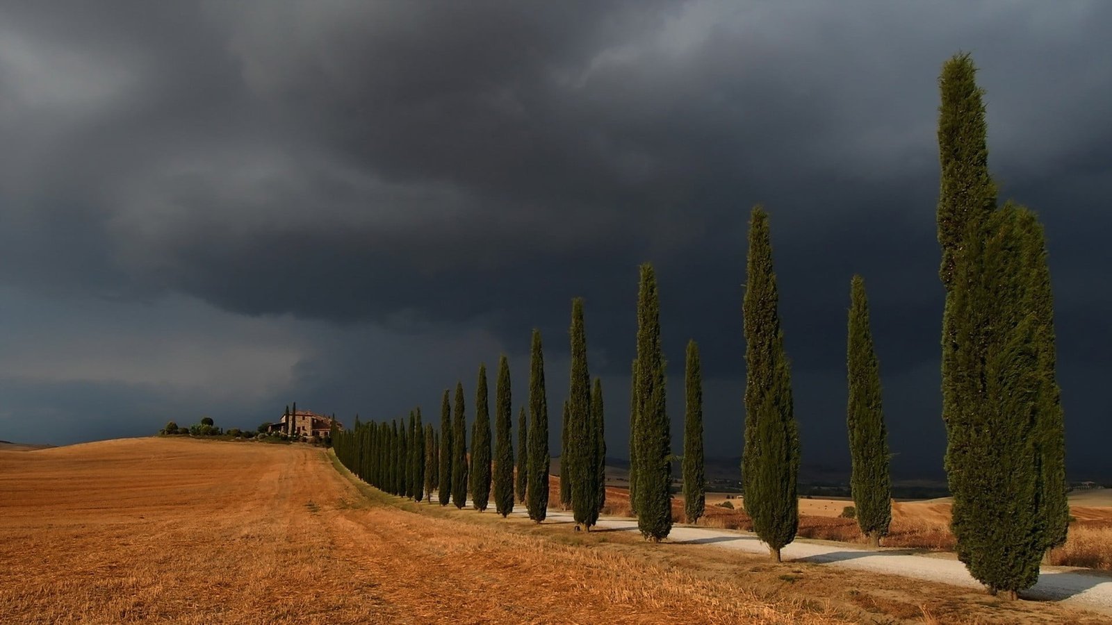 gray clouds landscape storm nature Italy trees road field 2k
