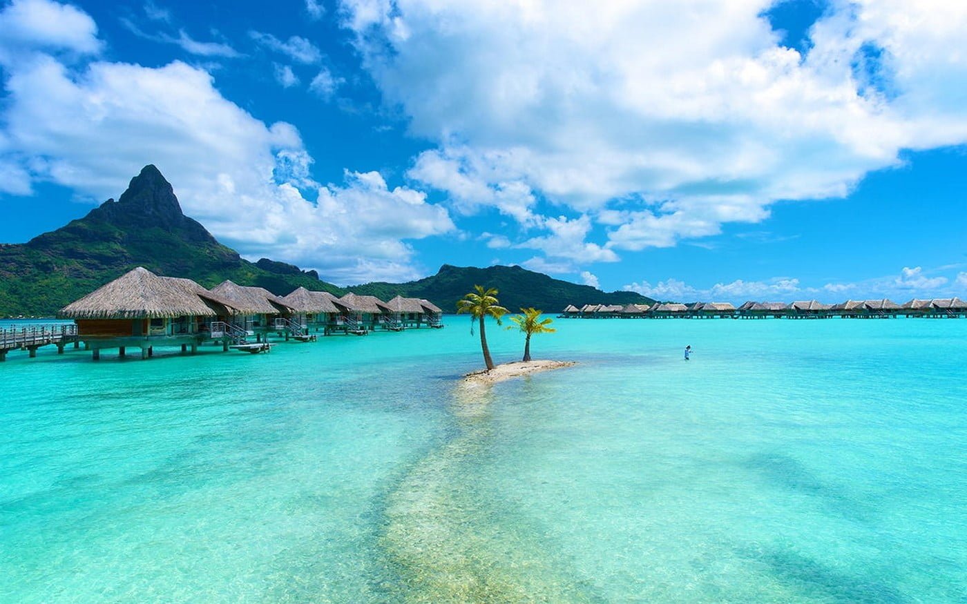 green palm tree nature landscape Bora resort island