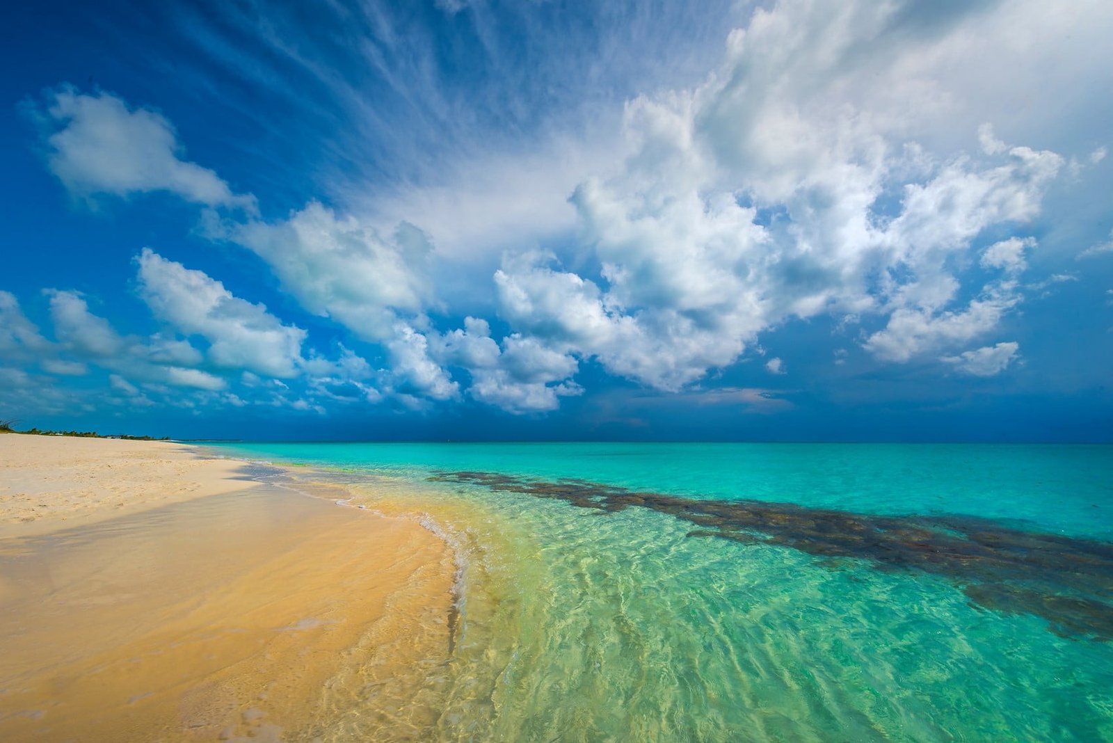 green beach nature landscape tropical Caribbean island turquoise 2k