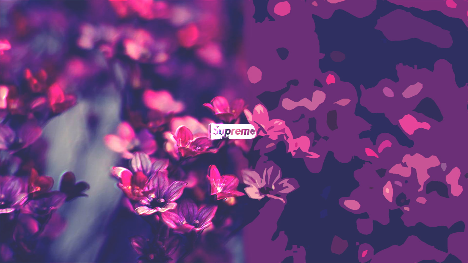 landscape nature supreme 2k