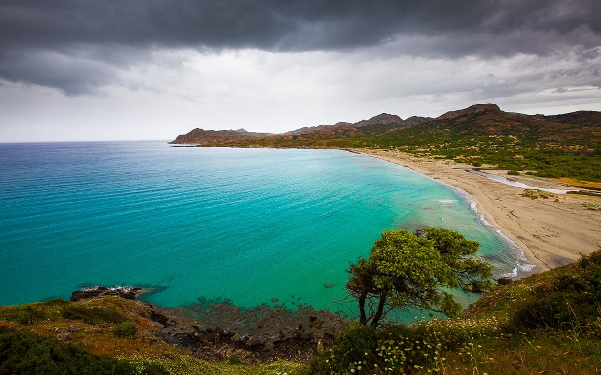 nature landscape beach sand shrubs wildflowers hills