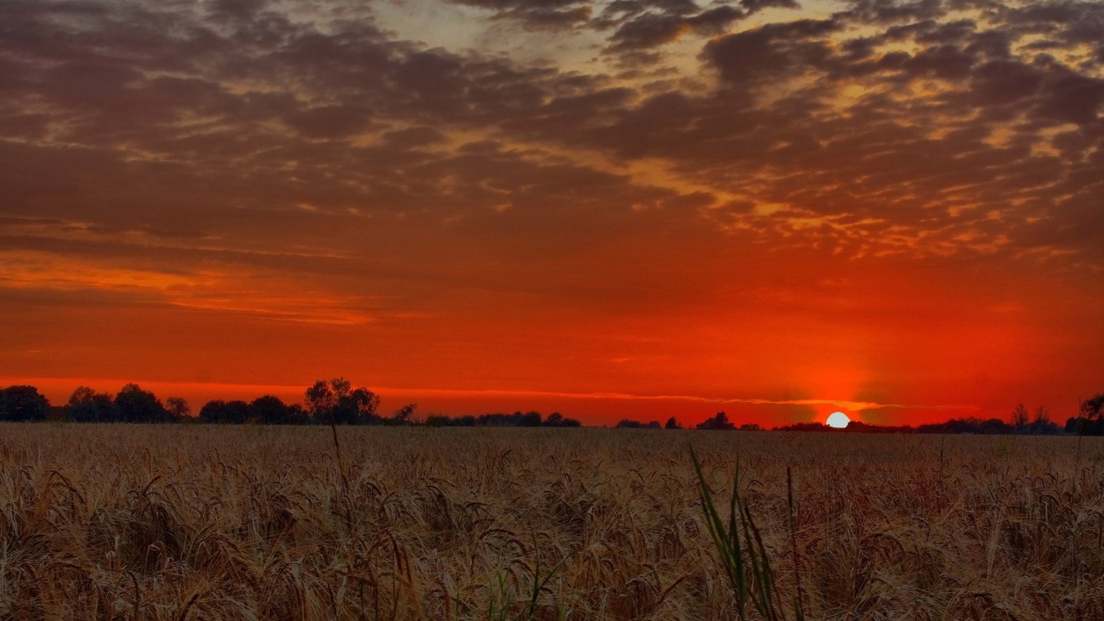 nature scenery images hd sky field sunset land 2k