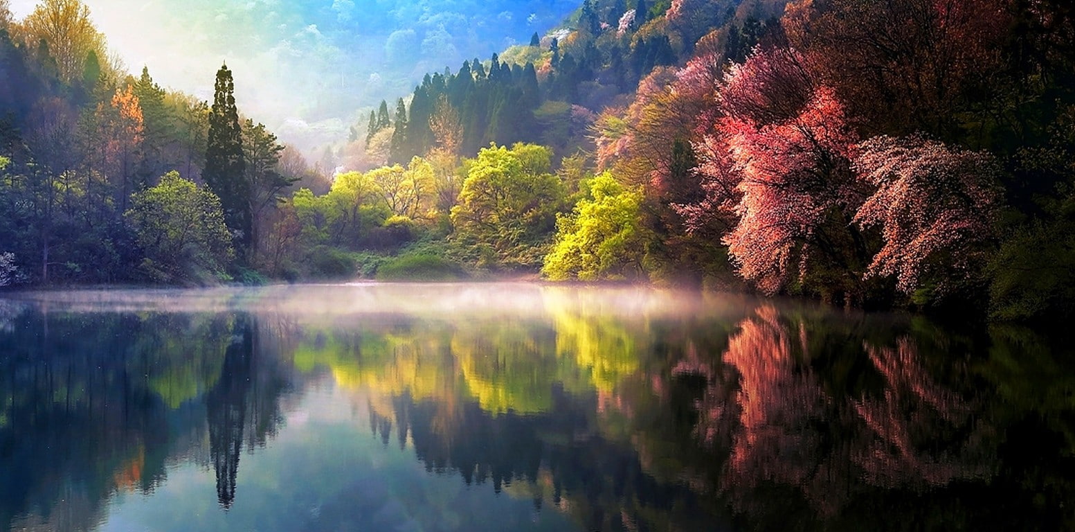 Nature Spring Sunrise Mist Lake Reflection Forest Landscape Water South Korea green mountain along with the body of water 2k