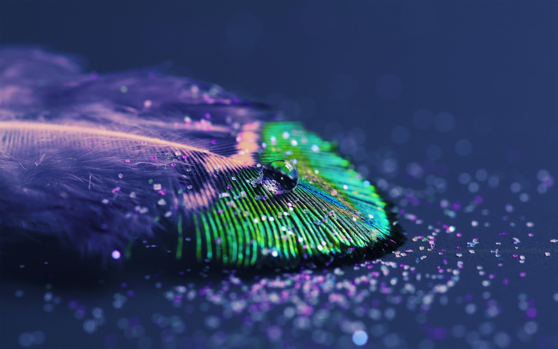 peacock feather dew on green and purple leaf peacocks feathers 2k