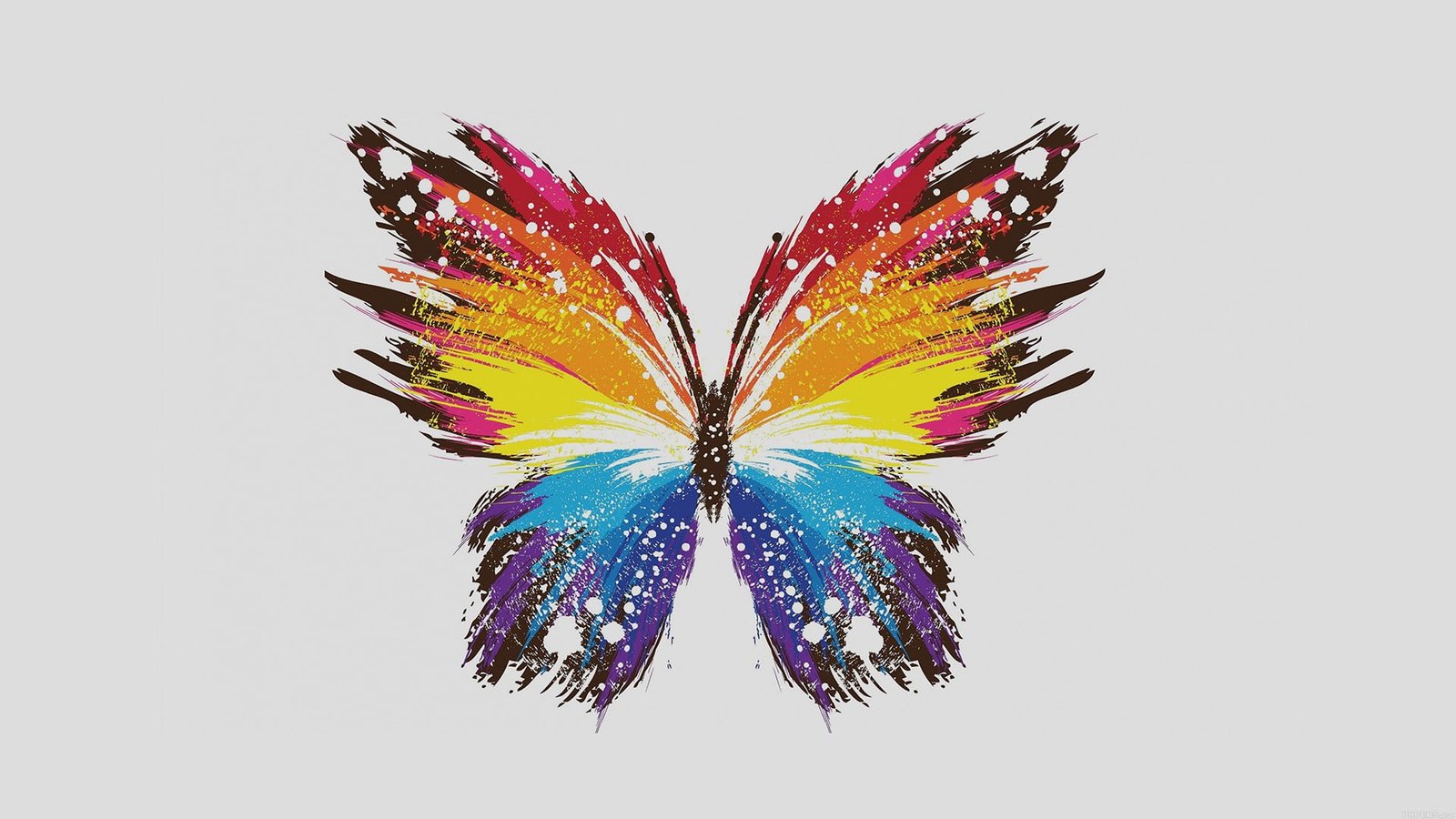 red yellow orange and blue butterfly digital wallpaper art 2k