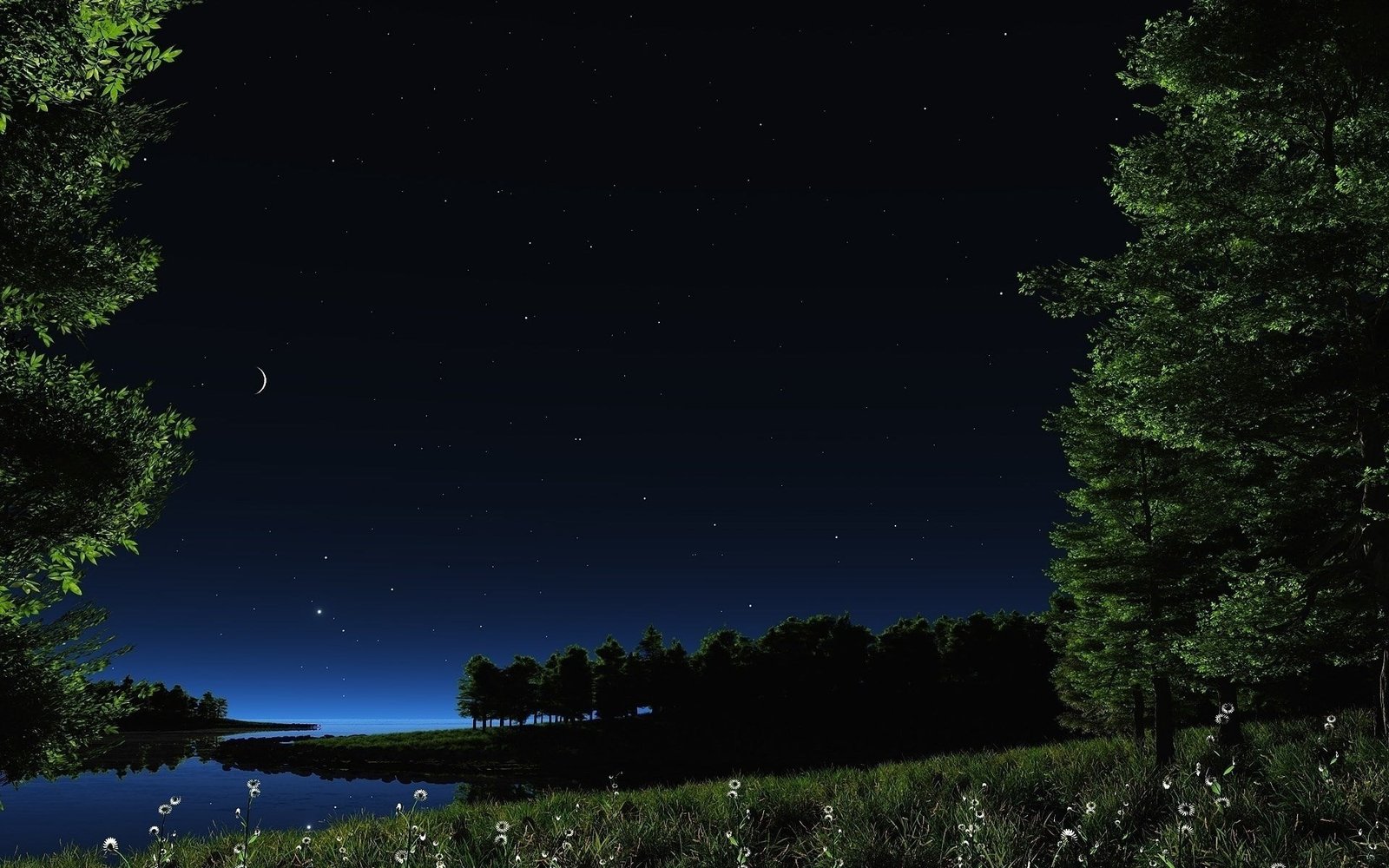 background pictures nature hd images night tree 2k