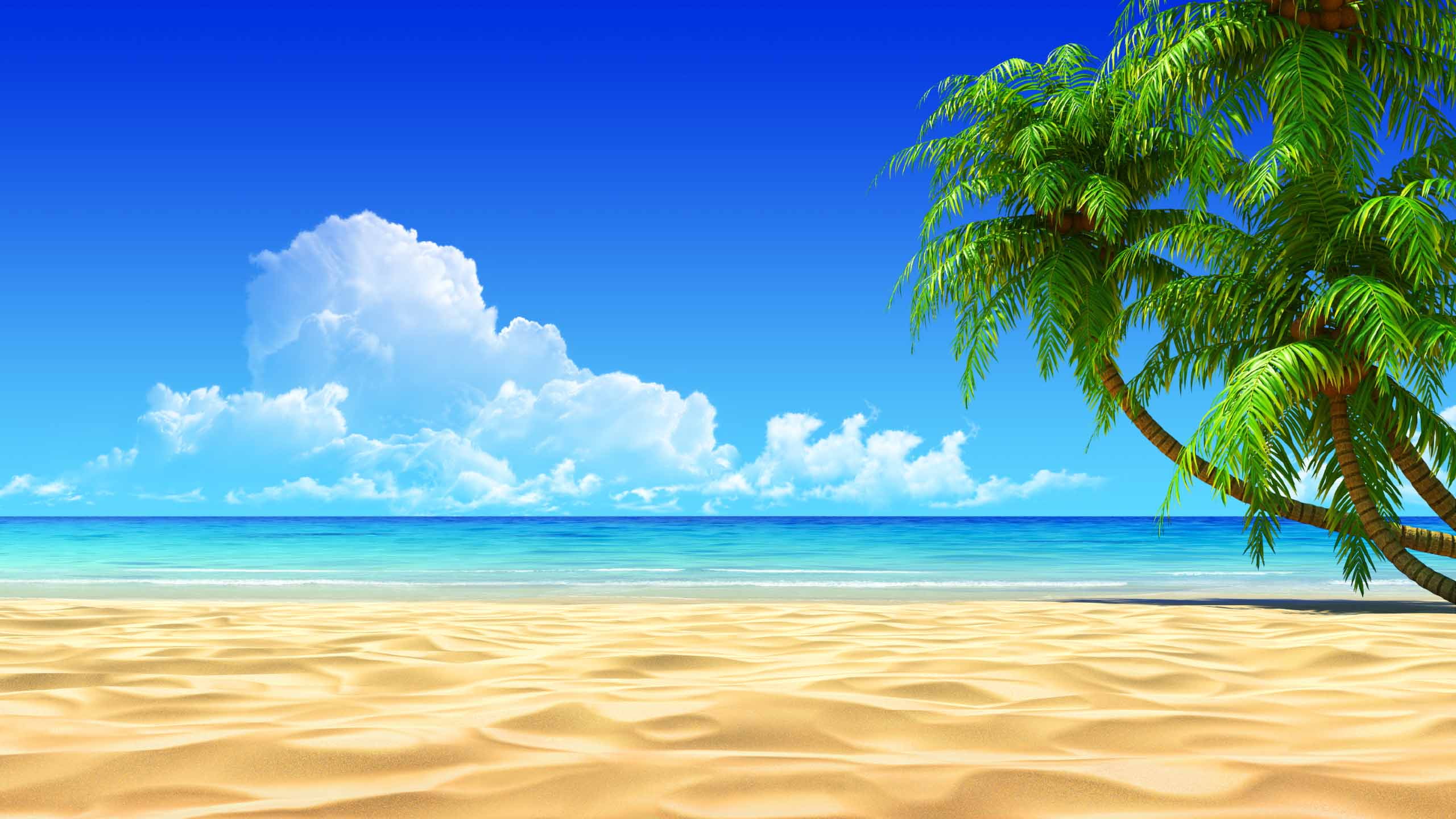 Beach Blue Sky Clean Water Clouds Green Tree seashore painting 2k