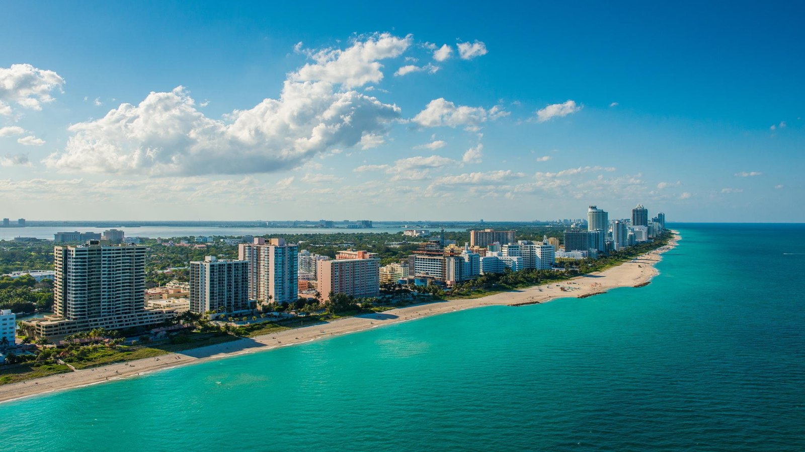 beach city florida miami night south 2k
