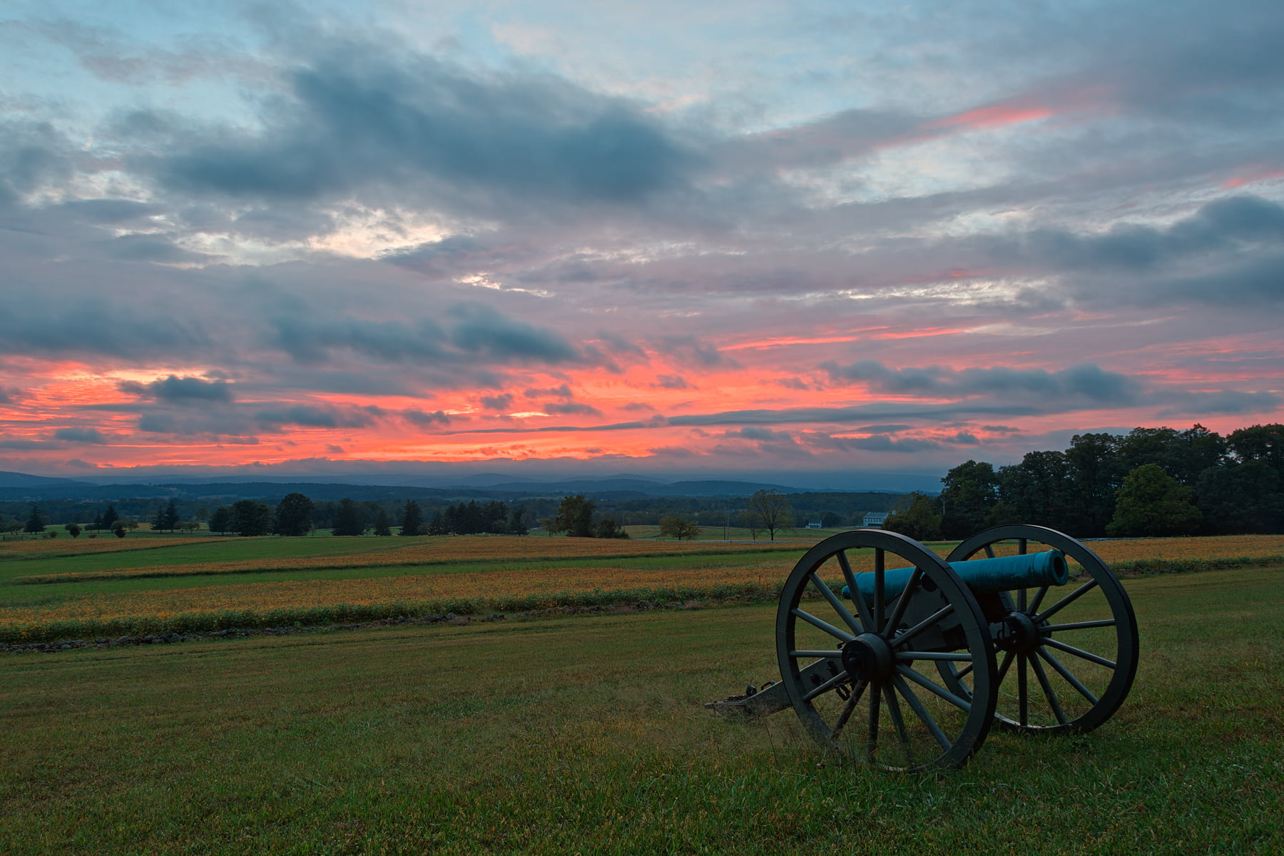 black and blue artillery cannon on green grass during daytime 2k
