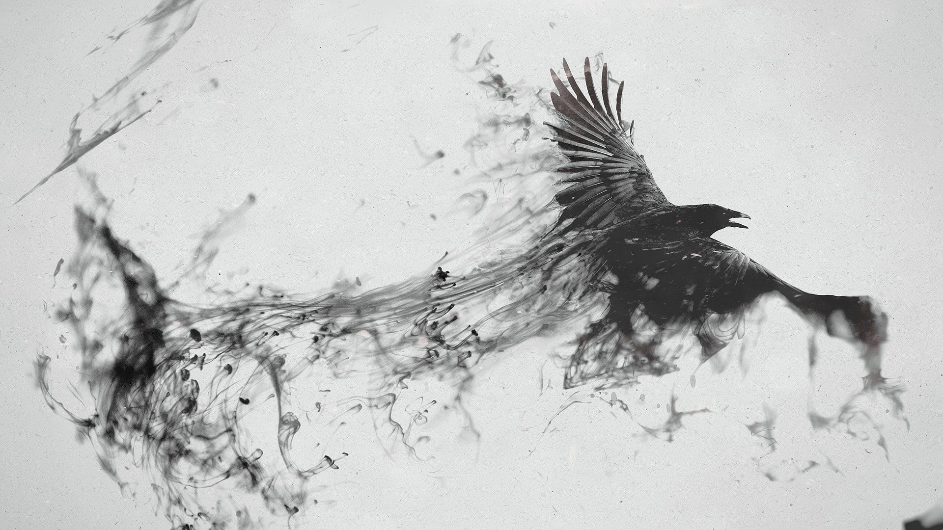 black Raven with smoke artwork bird flying white And White 2k