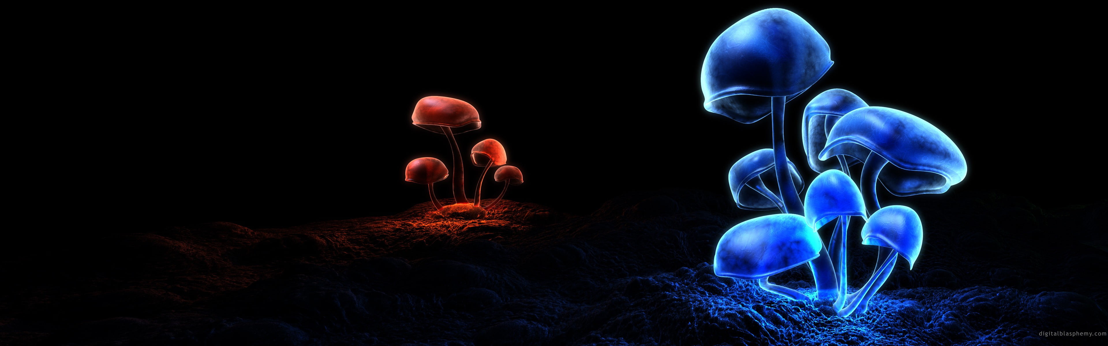 blue and red mushrooms multiple display nature digital art 2k 4k