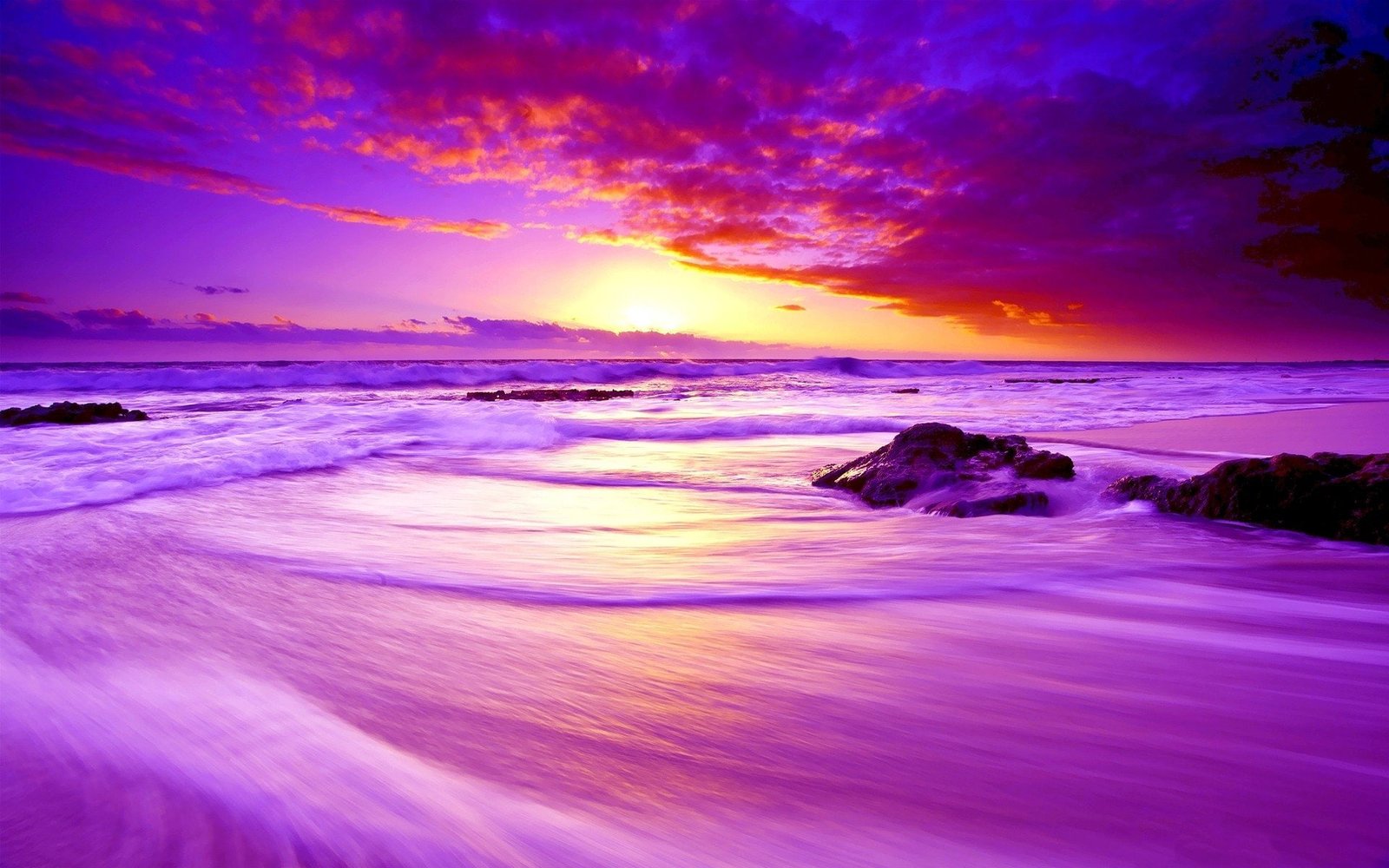 Earth Sunset Beach Cloud Horizon Ocean Purple Sea 2k