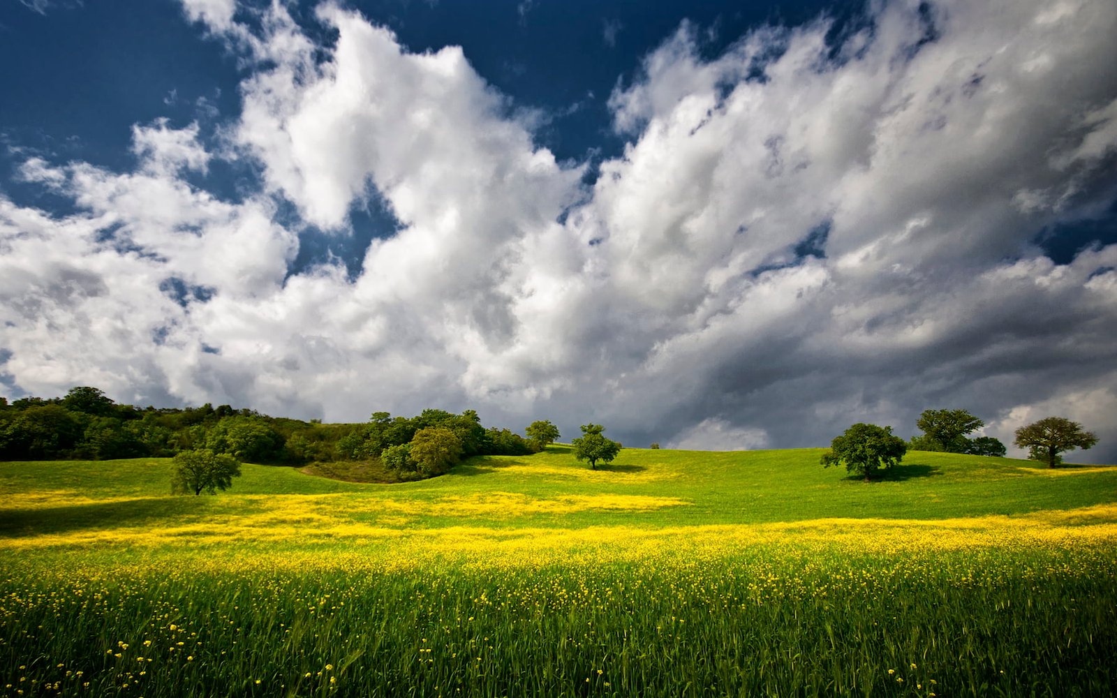 green grass field under blue and white cloudy sky during daytime 2k