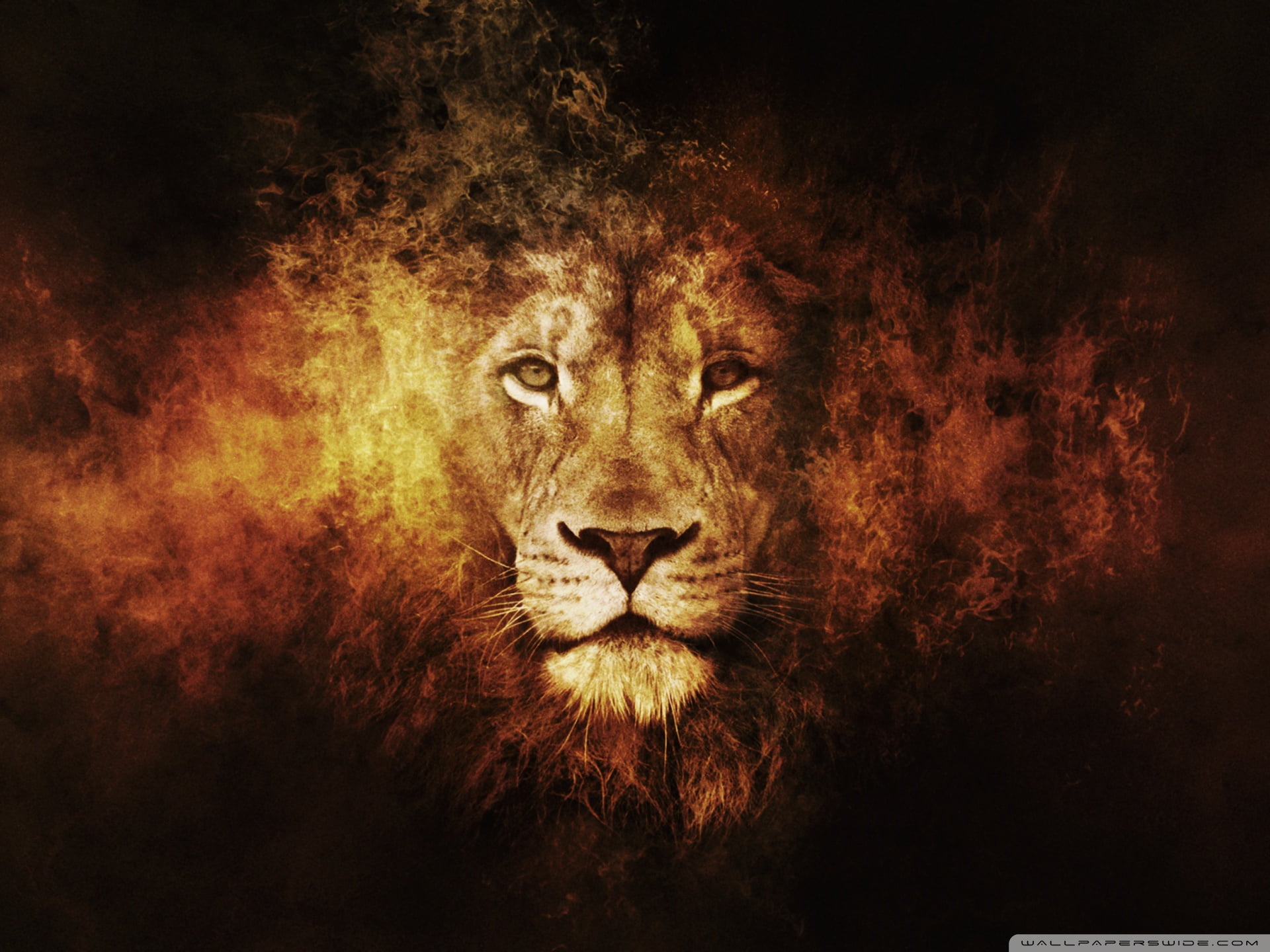lion digital wallpaper animals texture art big cats 2k