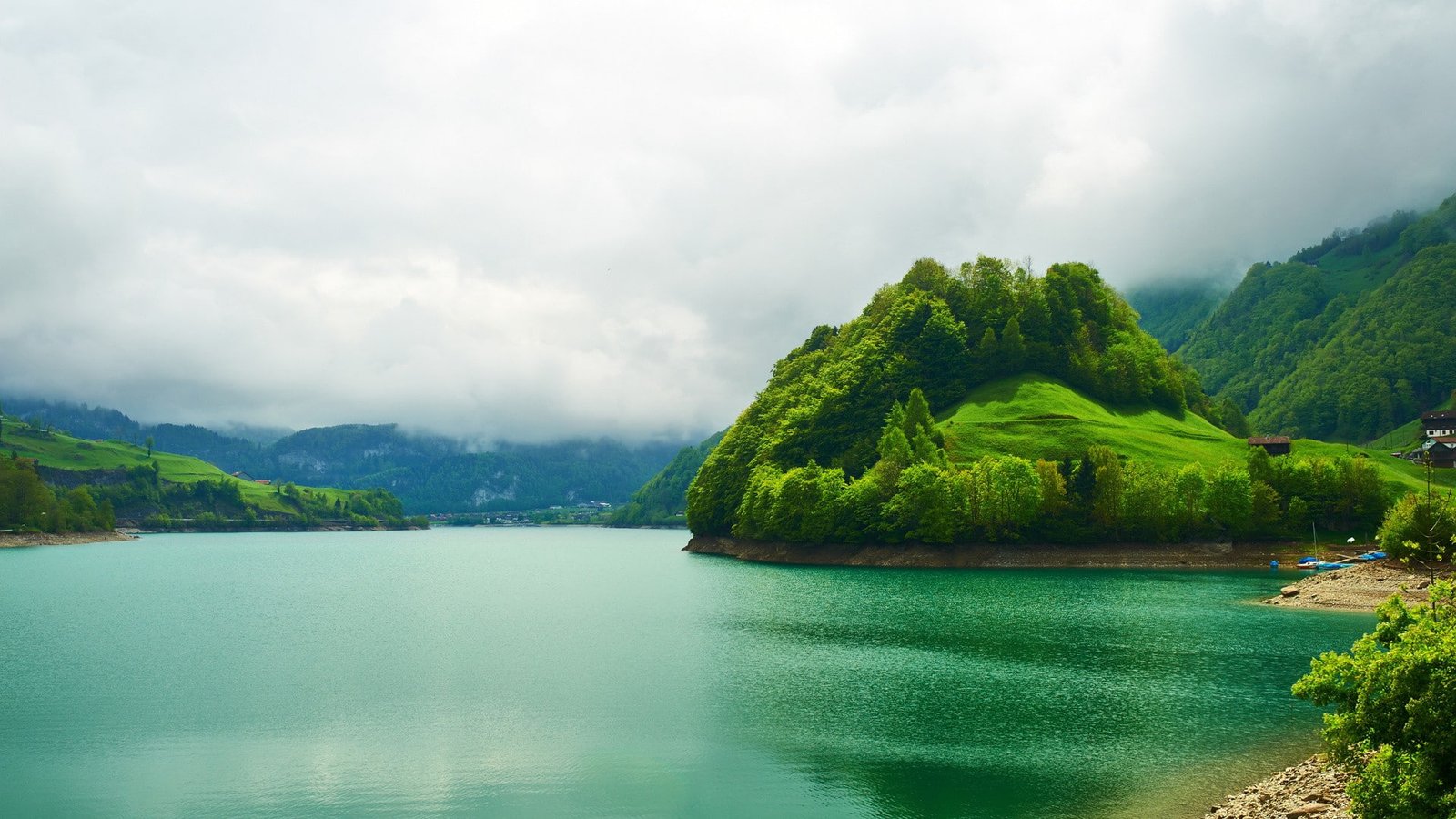 nature landscape trees forest mist hills water grass 2k