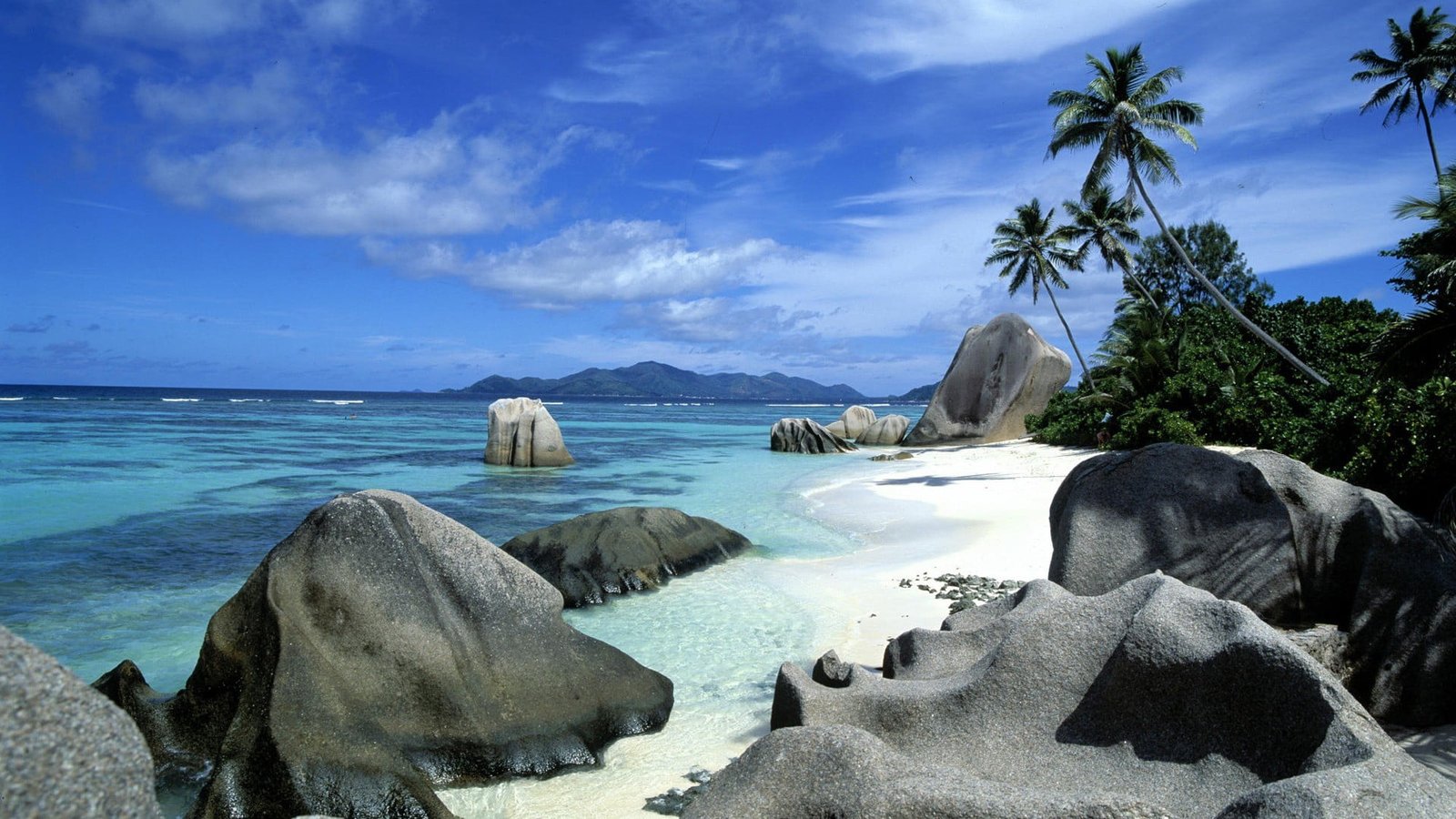 seashore beach landscape nature palm trees rock sky water 2k