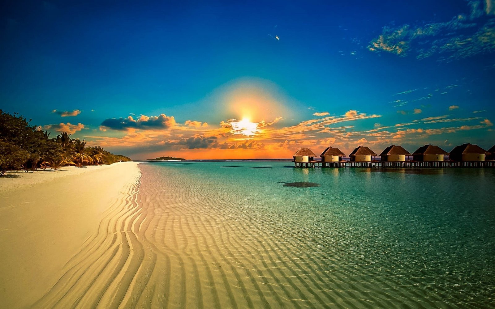 white sand landscape nature beach resort palm trees sunset 2k