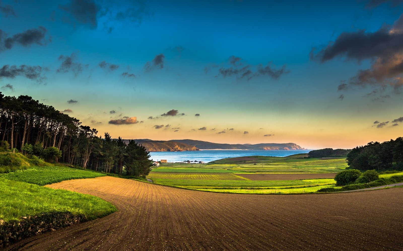 Beautiful scenery trees fields sky clouds mountains lake blue and green grass 2k