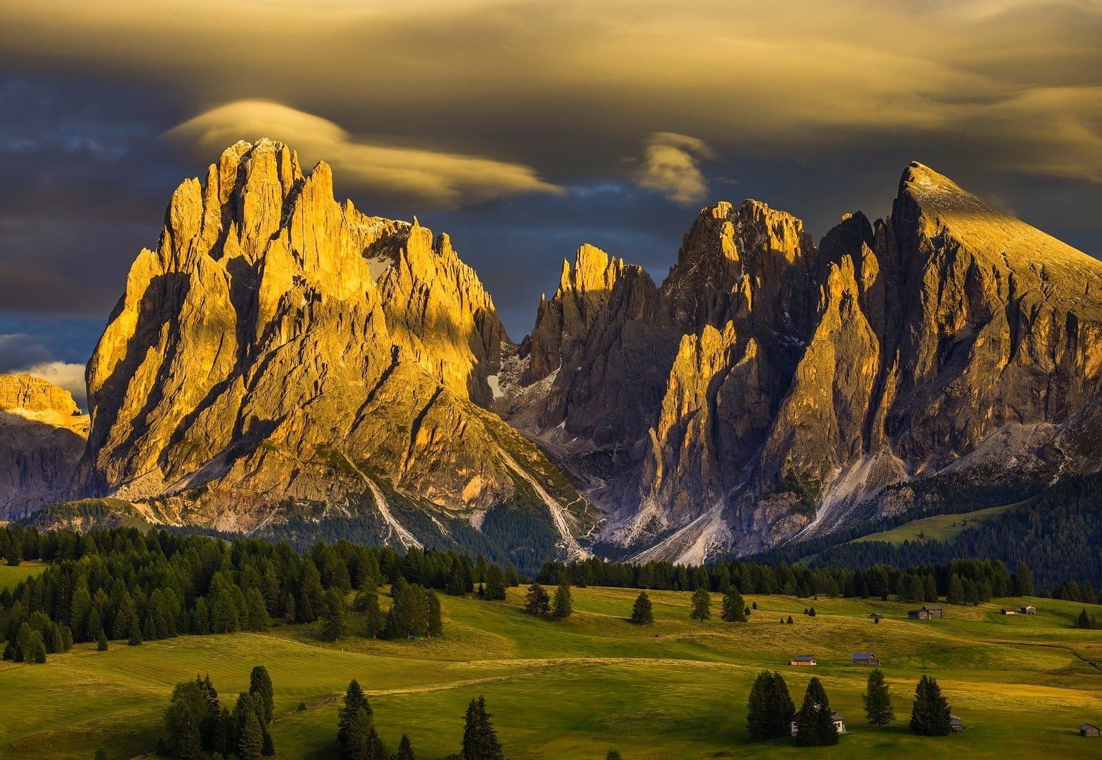 brown mountain near trees Alps forest Tyrol Italy summer 2k
