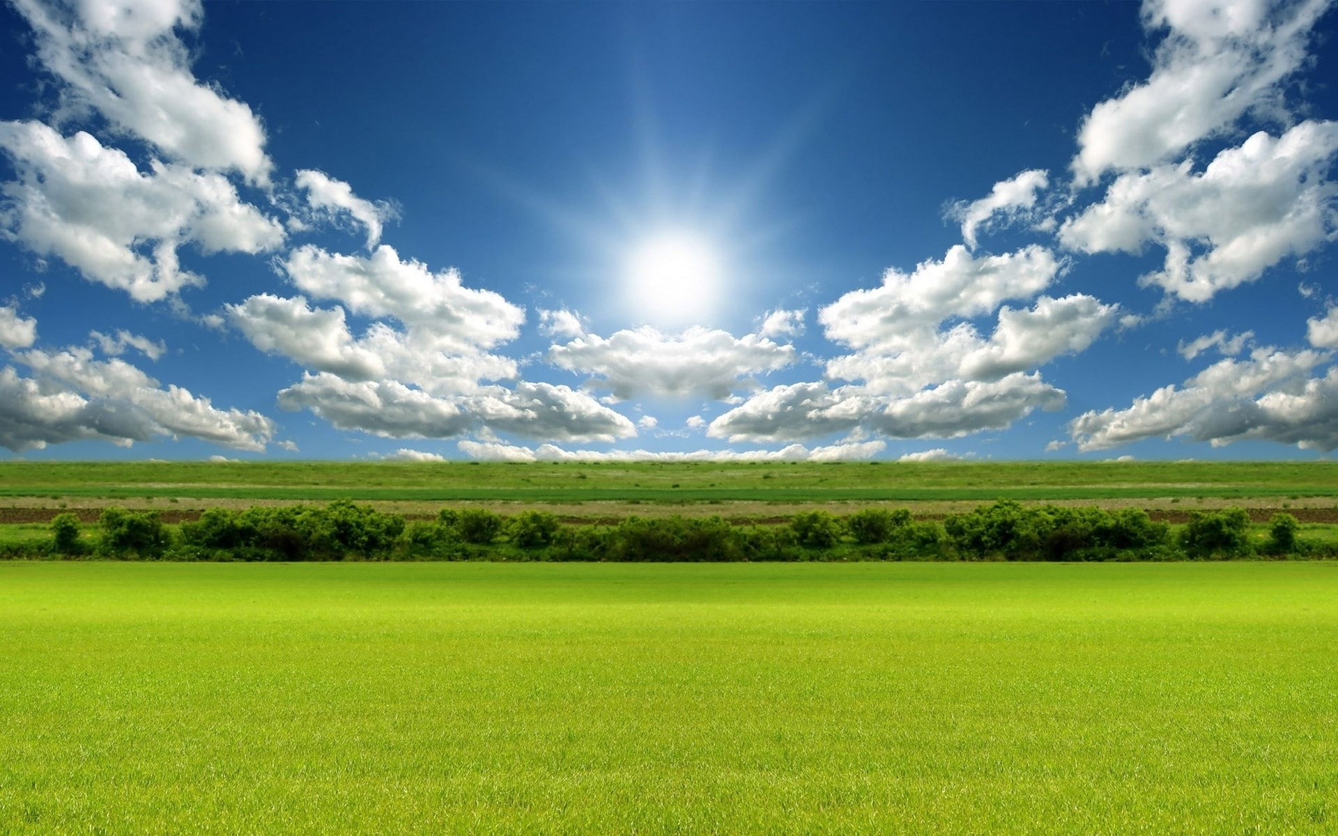 hd full nature inspired sky grass environment 2k