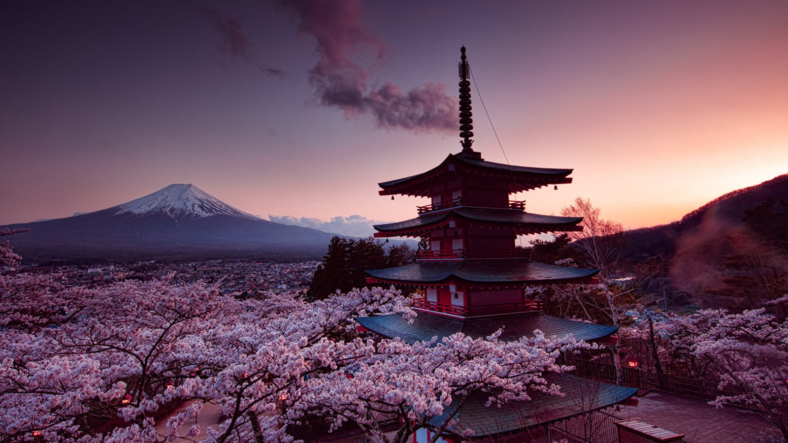 Mount Fuji Japan brown and white pagoda cherry blossom pink 2k