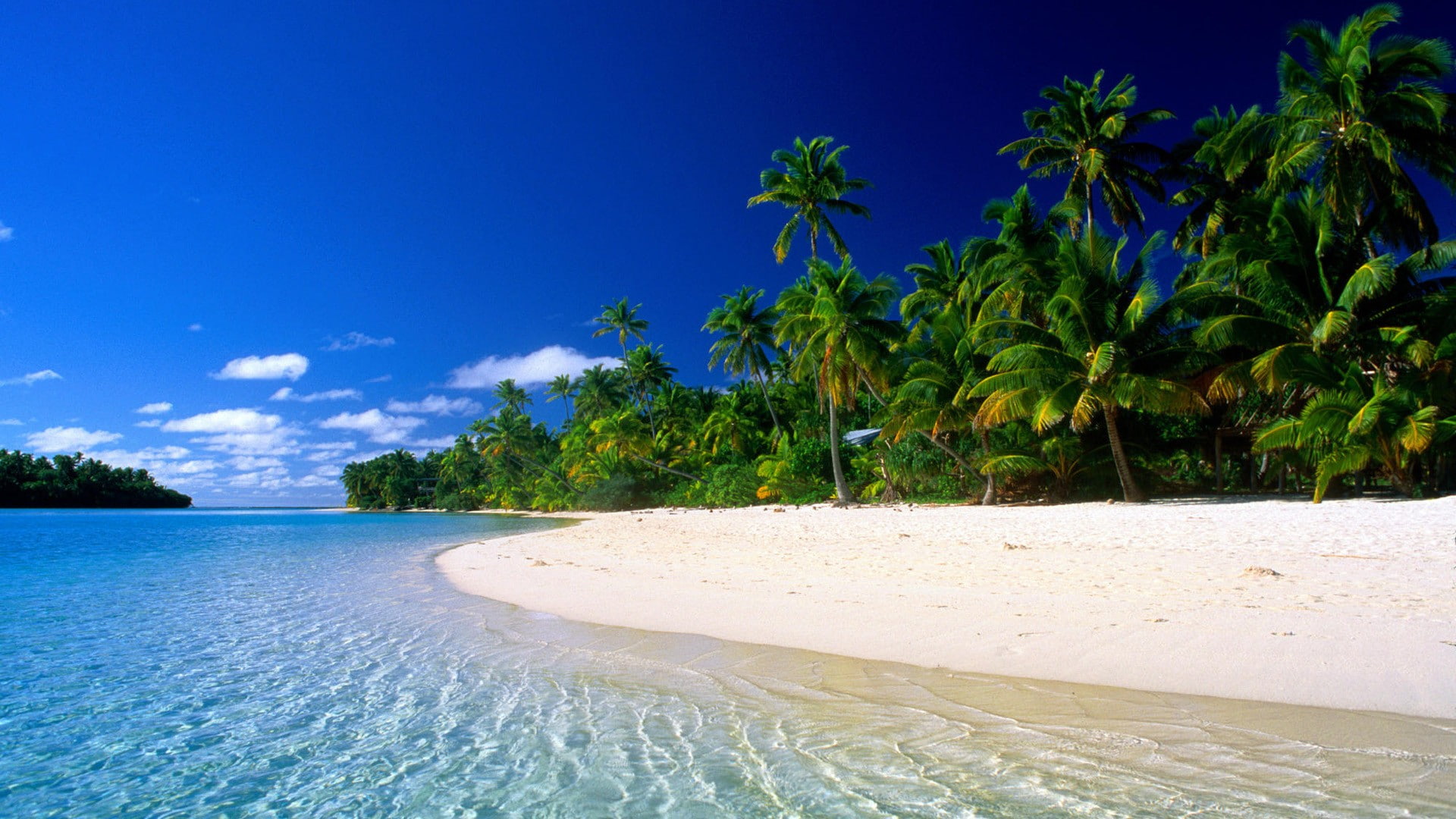nature beach sea landscape tropical climate water tree 2k